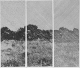 作品画像：風景 – 6（Photography）