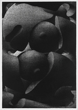 作品画像：No.46