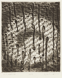 作品画像：AMT