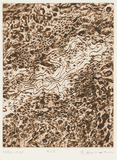 作品画像：RIS