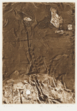 作品画像：鎖