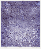 作品画像：RNS (3)