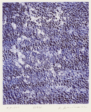 作品画像：SYA (b)