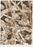 作品画像：TTU