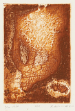 作品画像：XOA