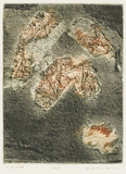 作品画像：XOE