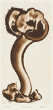 作品画像：PIK (m)
