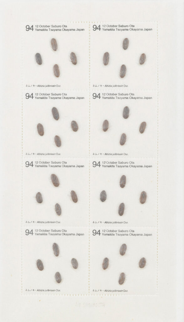 作品画像：Seed Project　ネムノキ・Albizia julibrissin Dur. 1994年10月12日 岡山県津山市山北
