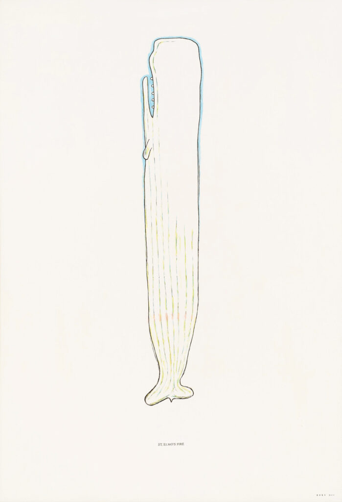 作品画像：青い白鯨