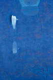 沼
