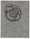 作品画像：Conséquence 2［『Conséquence』より］