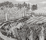 作品画像：海辺麦秋