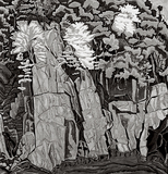 作品画像：天竜峡