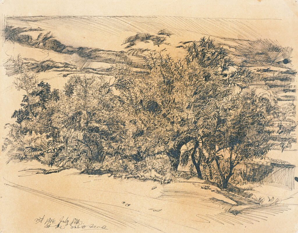 作品画像：河柳（裾花）
