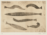 作品画像：魚たち