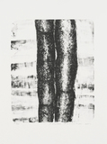 作品画像：AIWIP-1