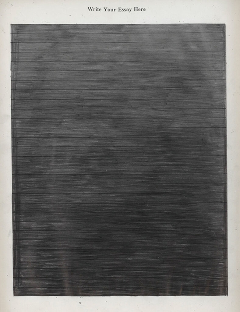 作品画像：WRITE YOUR ESSAY HERE
