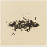 作品画像：Position ’77－9