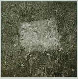 作品画像：Transposition－転位－Ⅱ