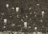 作品画像：転位 ’02－地－Ⅱ