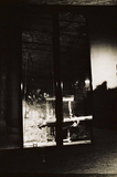 作品画像：[apple yard 12]