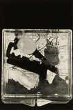 作品画像：[apple yard 32]