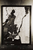 作品画像：[apple yard 44]