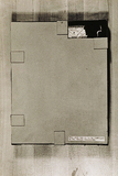 作品画像：[apple yard 45]