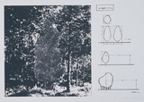 作品画像：Cut off plan (The Tree)