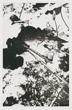 作品画像：Work “45” (A)