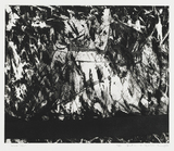 作品画像：Work “131”
