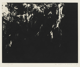 作品画像：Work “134”