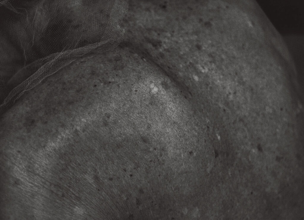 作品画像：＃24『1906 to the skin』より