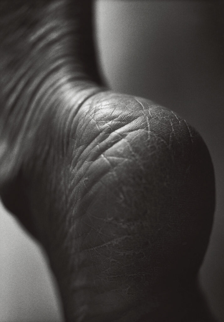 作品画像：＃44『1906 to the skin』より