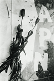 作品画像：「APN」（『アサヒグラフ』1953年12月2日号）のための構成