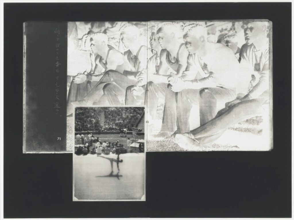 作品画像：The missing shade 55-1