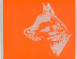 作品画像：Kennedy in a dog