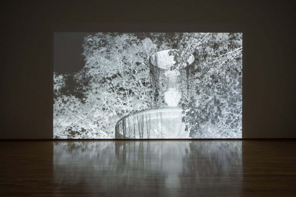 作品画像：Garden (Potsdam)