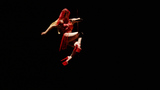 Flos Pavonis