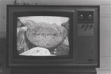 1970年代美術記録写真集 「和田守弘　ビデオ　1979年12月2日　横浜市民ギャラリー」