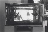 1970年代美術記録写真集 「ナムジュン・パイク　1980年9月1日　ギャルリーワタリ」