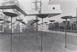 1970年代美術記録写真集 「田中睦治　1981年11月8日　A.S.G.名古屋」