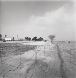 1970年代美術記録写真集 「びわこ現代彫刻展　全景　1981年3月25日」