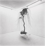 1970年代美術記録写真集 「長沢英俊　1981年7月17日　東京画廊」