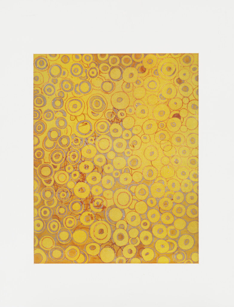 作品画像：Untitled