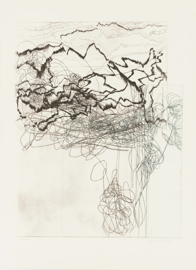 作品画像：Untitled