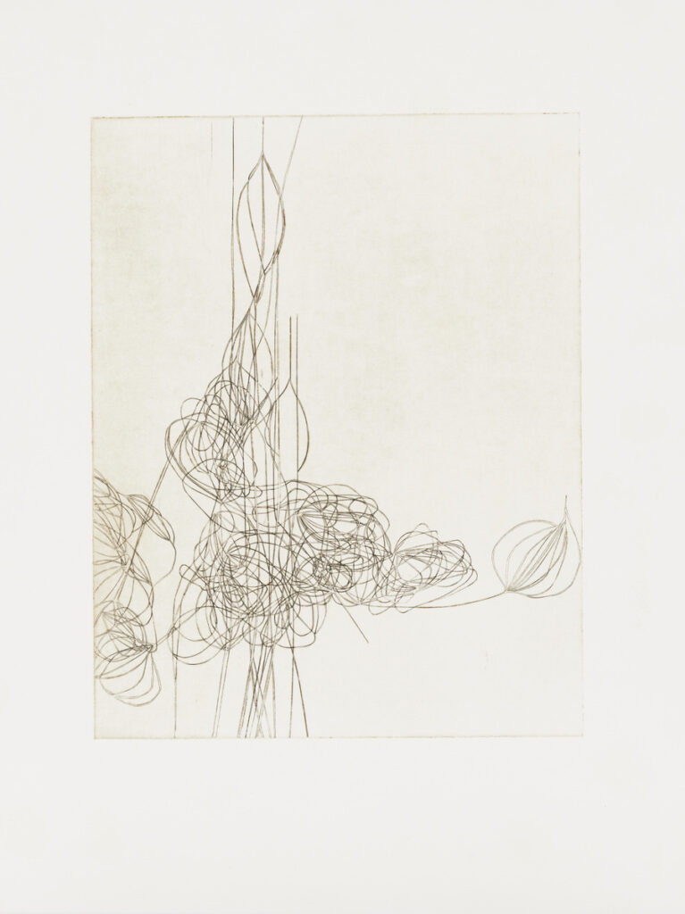 作品画像：Untitled