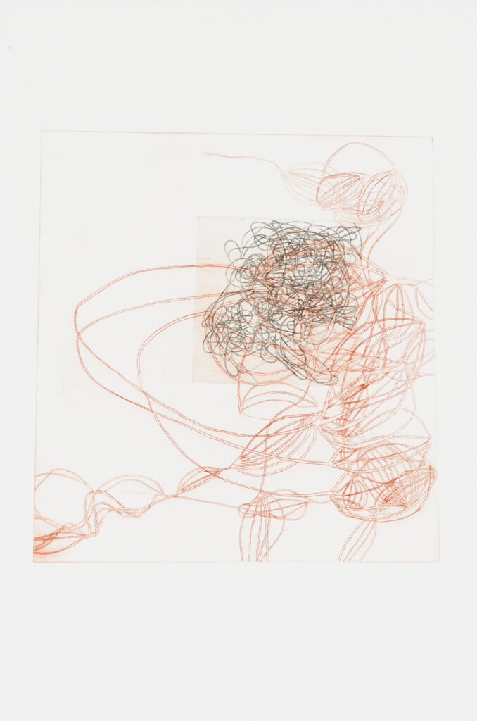 作品画像：Untitled