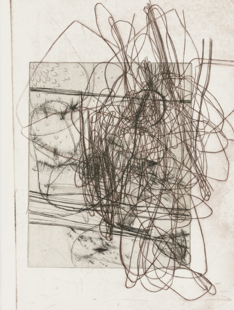 作品画像：Untitled