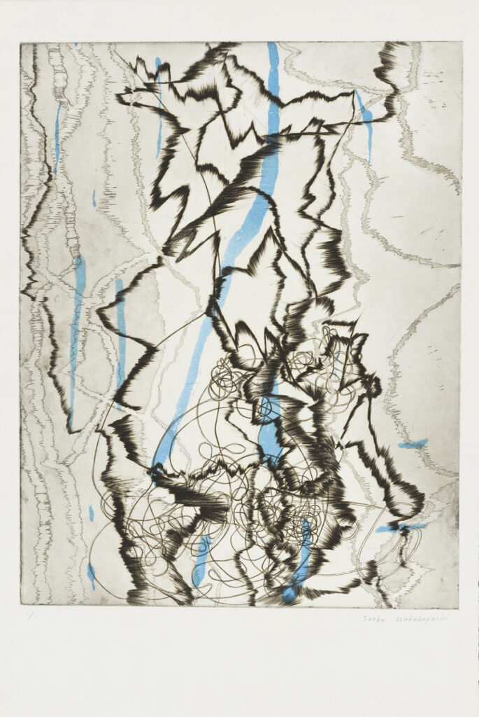 作品画像：Untitled